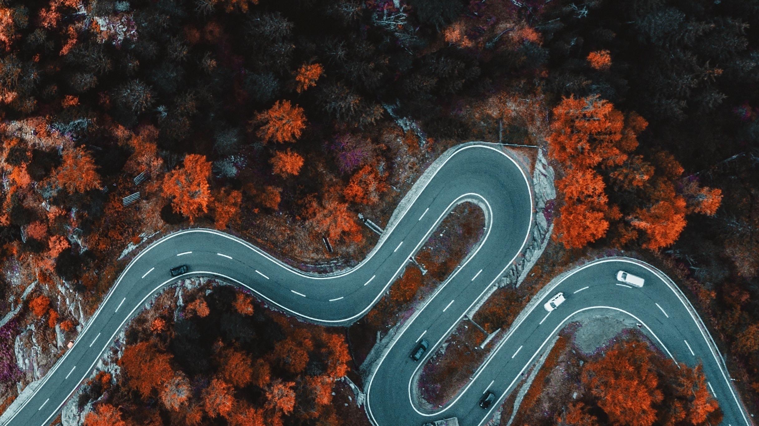 Birds eye view of a winding road surrounded by orange and green trees