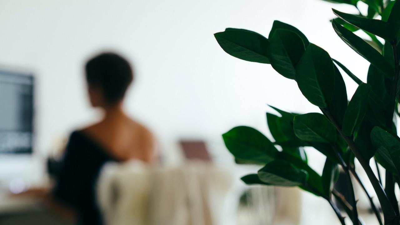 A woman sitting at her desk looking at a computer monitor with a plant in the forefront